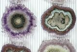Lot: to Amethyst Stalactite Slices ( Pieces) #77699-2
